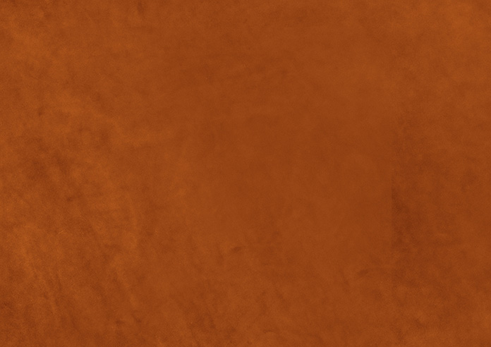Odessa Velvet, Rust - Twist&Fit Roman Blind - Image 8